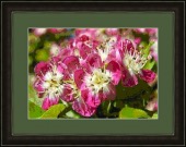 viral rhinitis image healthtips images